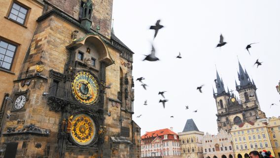 Prague Astronomical Clock + Prague Old Town + Wenceslas Square + Prague National Museum Half Day Tour
