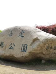 Jiading Wistaria Garden