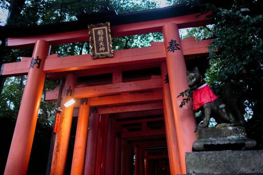 東大寺+依水園+吉城園+春日大社+奈良公園+若草山+伏見稻荷大社一日遊