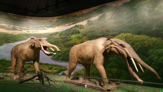 古動物化石博物館