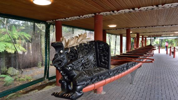 Rotorua Maori Cultural Village + Agrodome private charter day tour in New Zealand's North Island