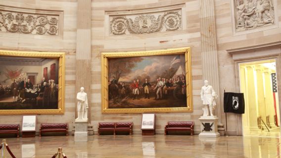 tour di un giorno al Parco Nazionale di Shenandoah [andata e ritorno da Washington D.C. + autista cinese + servizio VIP]
