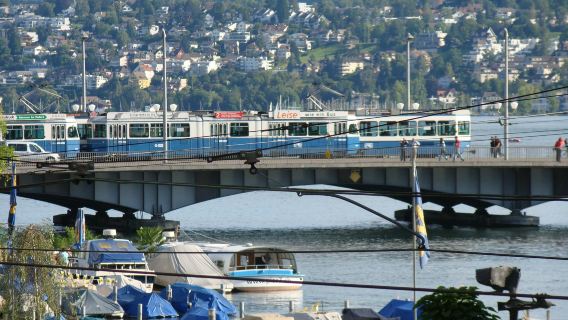 Bahnhofstrasse + พิพิธภัณฑ์นาฬิกา Beyer + โบสถ์เซนต์ปีเตอร์ / สวนพฤกษศาสตร์ + จัตุรัสพาเหรด