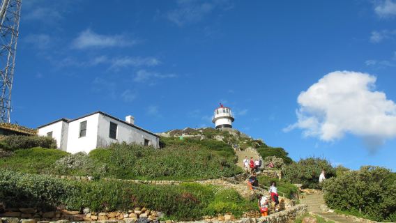 南非+開普敦+Clifton Beach+查普曼公路+豪特灣