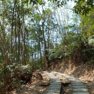 青龍山步道