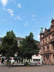 Old Heidelberg University (Alte Universitat)