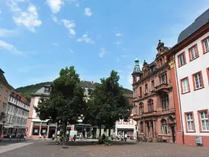 Old Heidelberg University (Alte Universitat)