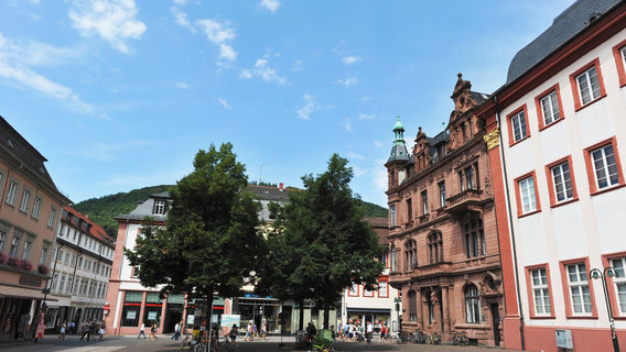 Heidelberg University
