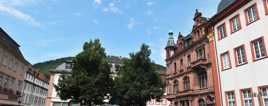 Heidelberg University