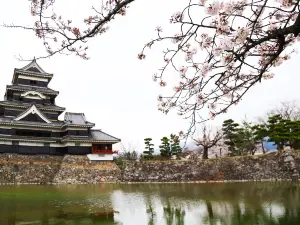 長野縣熱門賞花踏青景點