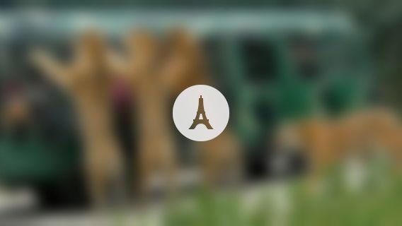 Tanzania Birding And Beyond Safaris