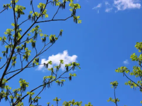 松峰山自然保護区