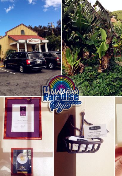 Merriman's Big Island