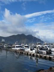 Hout Bay Harbour