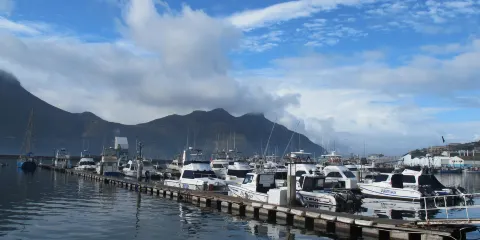 十二門徒峯+查普曼公路+豪特灣+好望角+福爾斯灣一日遊