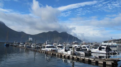 Hout Bay Harbour