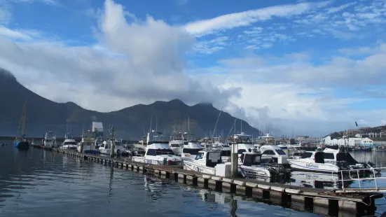 Hout Bay Harbour