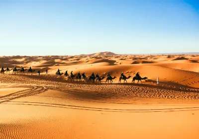 Sahara Desert