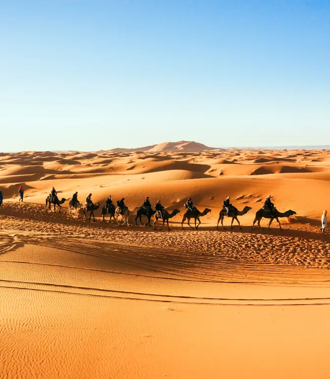 Sahara Desert