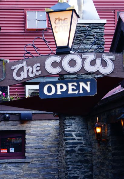 The Cow