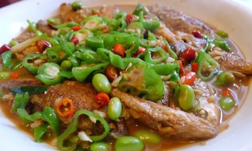 Wuyi Taste
