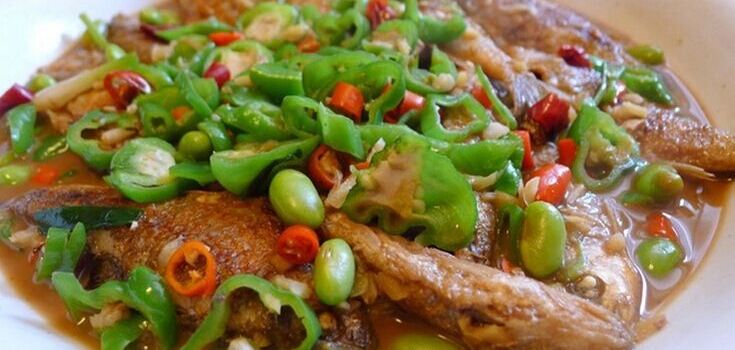 Wuyi Taste