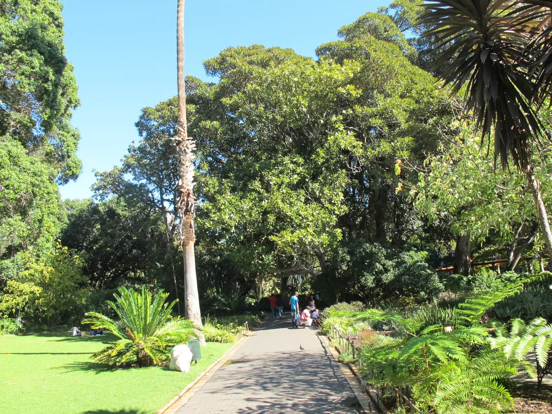 4_The Company’s Garden