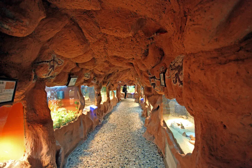 4_上海大自然野生昆蟲館