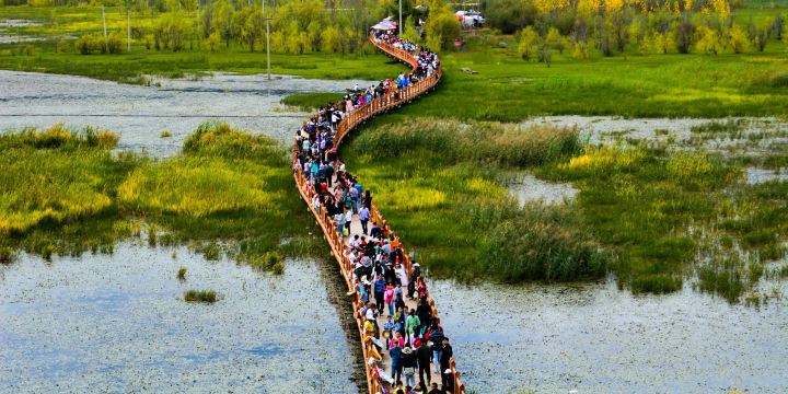 Walking Marriage Bridge
