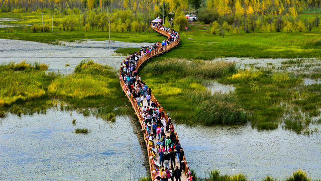 Walking Marriage Bridge