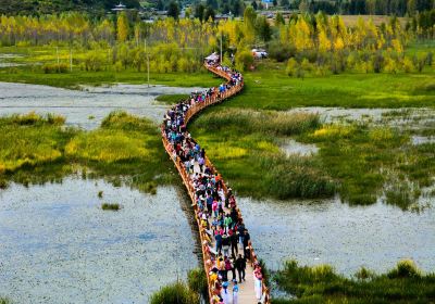 Zouhun Bridge (Walking Marriage Bridge)