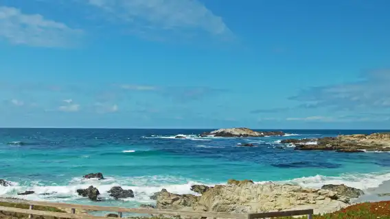 蒙特雷半島+17里灣 一日遊【不超12人精品小團】