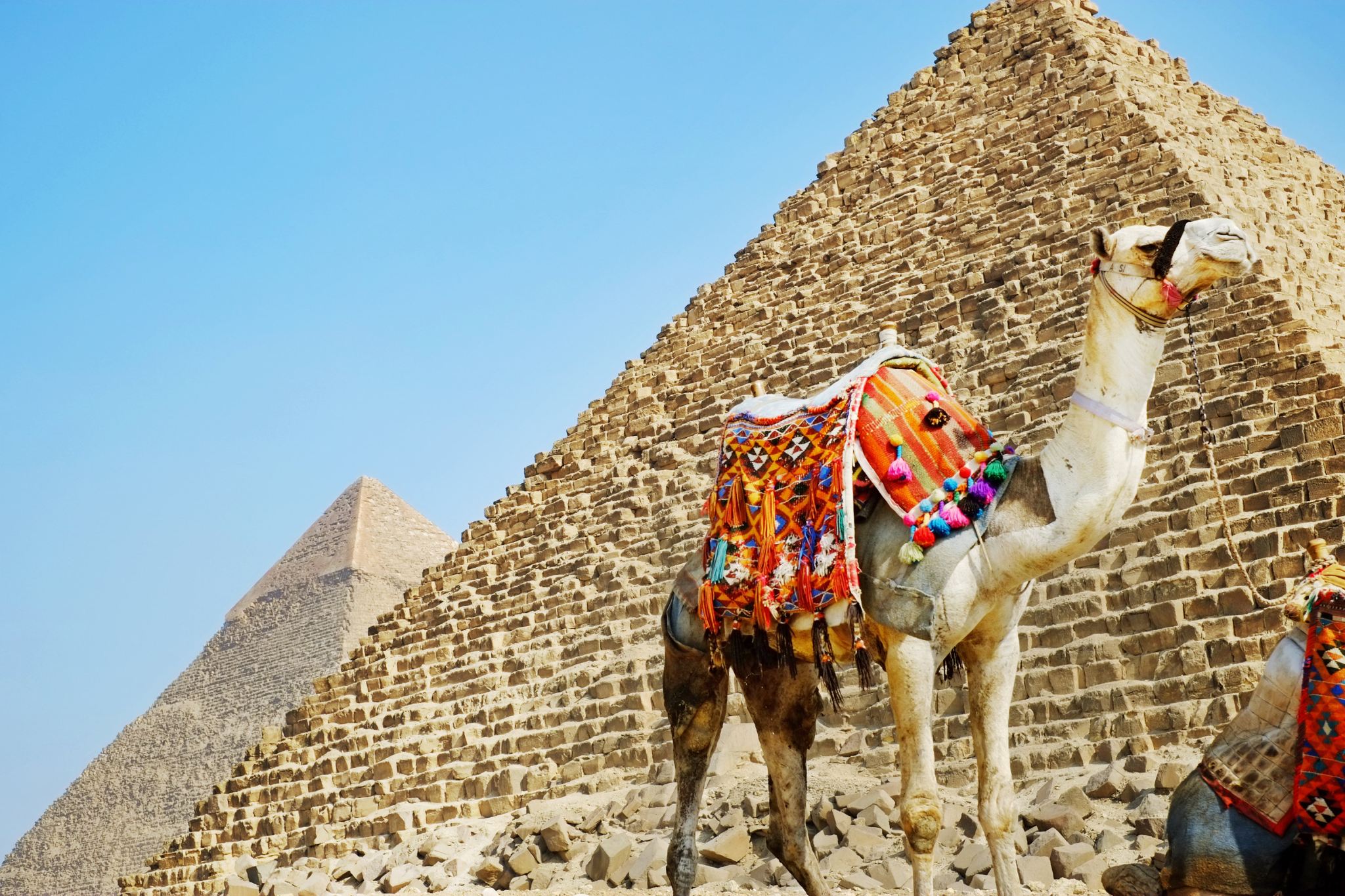 Tour di un giorno alla Piramide di Cheope + Museo Egizio del Cairo + Grande Sfinge di Giza con pranzo e guida