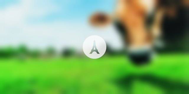 La Colline Aux Bleuets