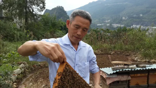 大峽穀天然蜂蜜