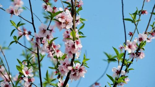 白塔湖国家湿地公園