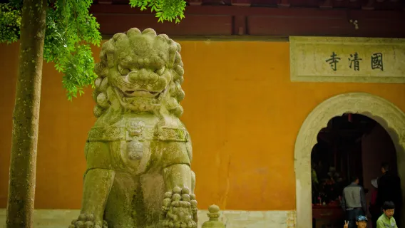 [One order, one group] Senior guide service at Taizhou Guoqing attraction(including wireless headset)