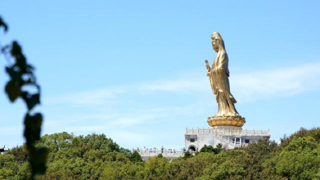 浙江舟山普陀山風景區跟團純玩1日遊