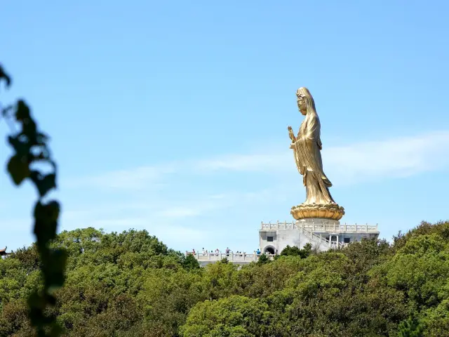 Zhoushan Buddhist Culture Experience