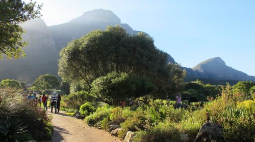 Kirstenbosch National Botanical Garden