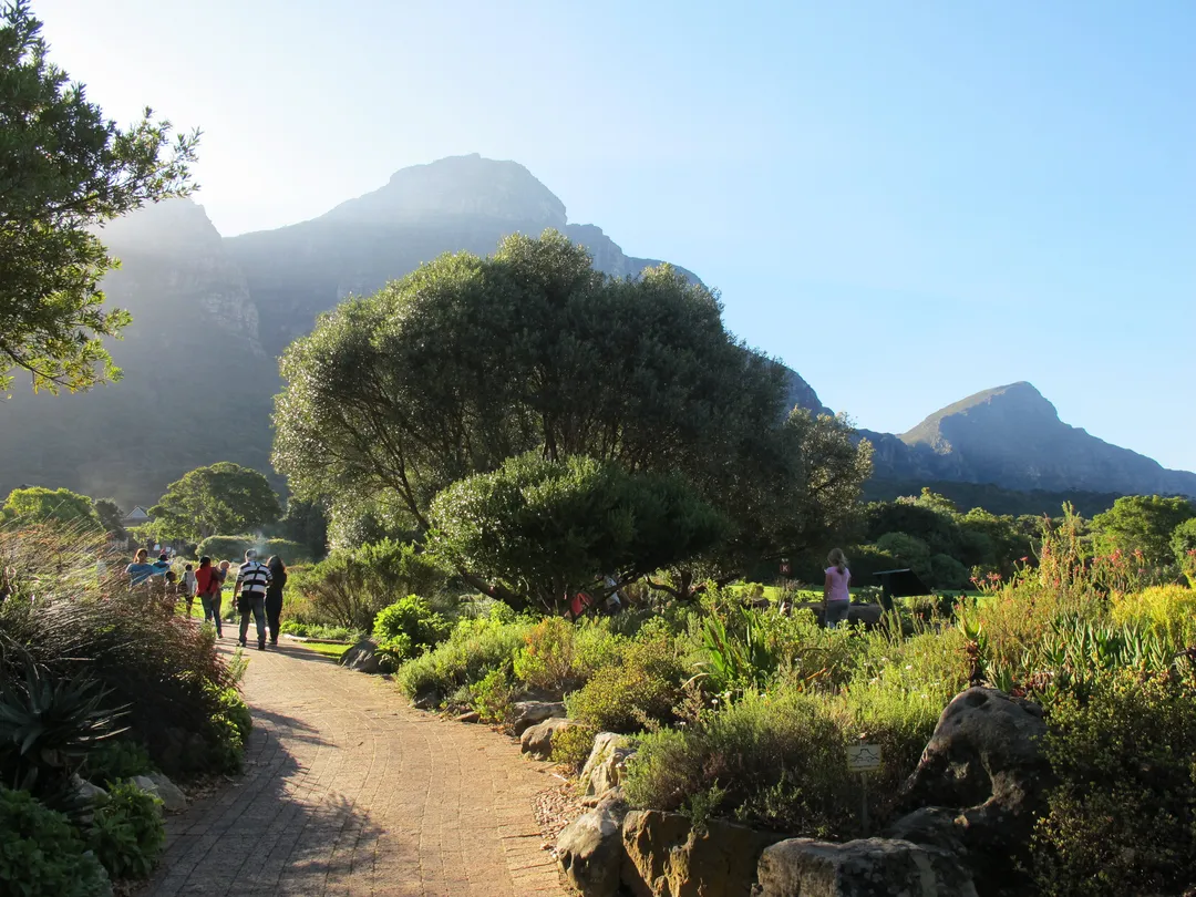 5_Kirstenbosch National Botanical Garden