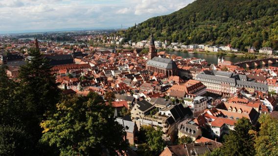 Heidelberg Castle + Wine Barrel + Heidelberg Old Bridge + Philosopher's Walk + Heidelberg Pedestrian Street