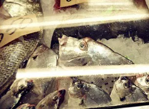 阿義海產店