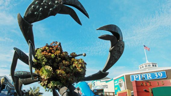 ทัวร์วันเดียว/ทัวร์หลายวัน สะพานโกลเดนเกต + ท่าเรือประมง + ไชนาทาวน์ซานฟรานซิสโก + ย่านฮิปปี้ พร้อมบริการภาษาจีนและภาษาอังกฤษ