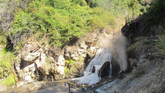 XishuangbannaTravel Services