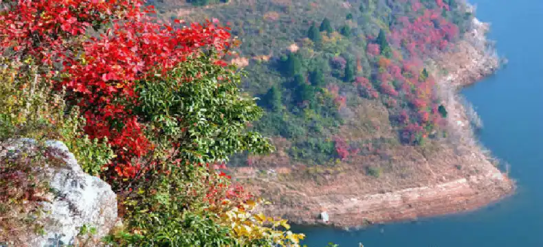 Hotels in Foping County