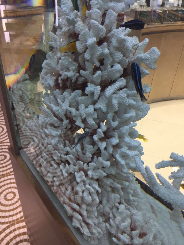 登巴薩