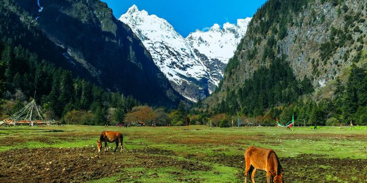 Meili Snow Mountain National Park