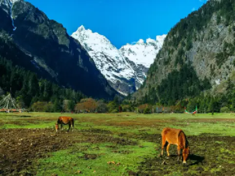 Meili Snow Mountain National Park