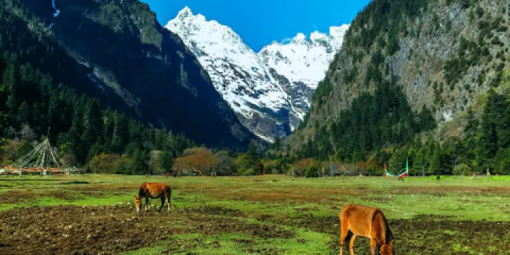 梅里雪山國家公園